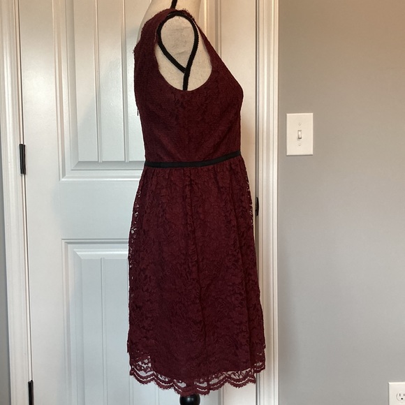 Loft Lace Dress - Picture 5 of 10